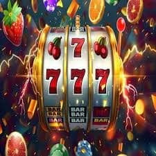 w557